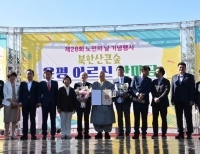 기사이미지